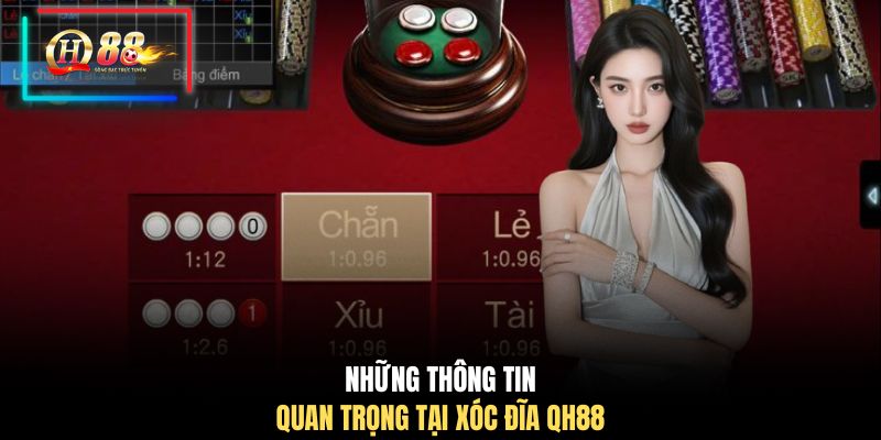 Những thông tin quan trọng tại xóc đĩa QH88